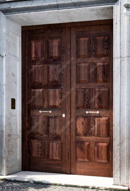 фото Элитные входные двери Элитная входная дверь из массива Tela